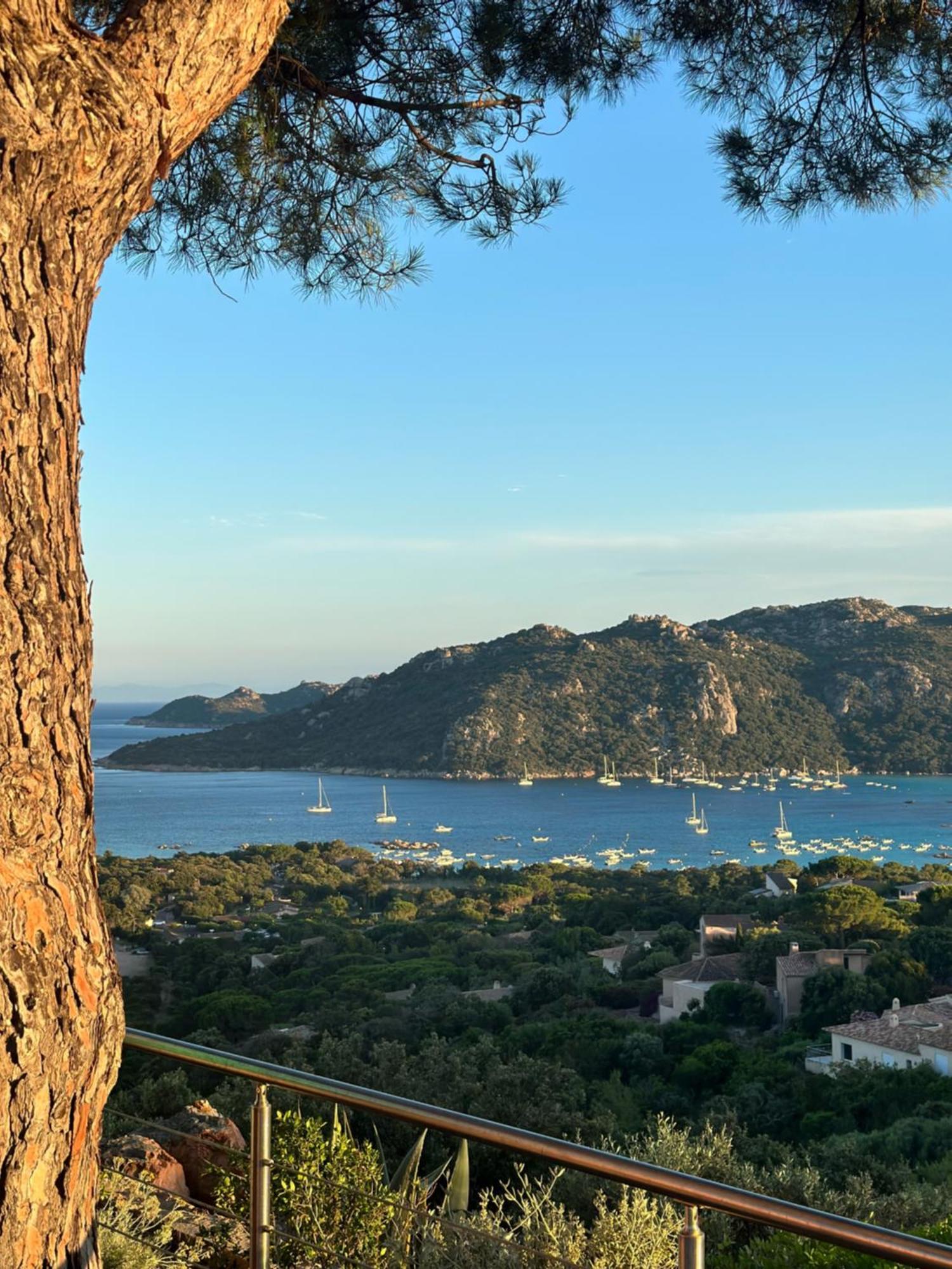 Appartement Marina Di Santa Giulia Porto-Vecchio  Buitenkant foto